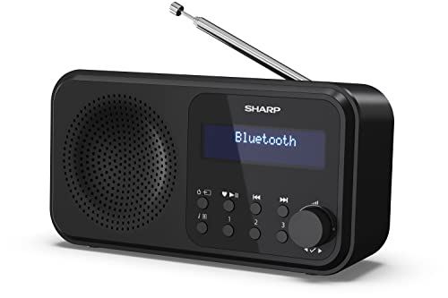 SHARP DR-P420 Portables Digitalradio...